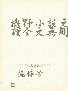 撒野小说免费阅读全文无删减