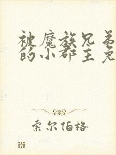 被魔族兄弟囚禁的小郡主免费阅读