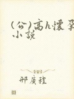 (公)高h怀孕小说