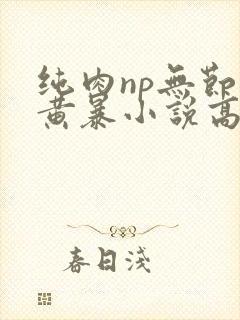 纯肉np无节操黄暴小说高h