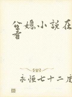 公媳小说在线观看