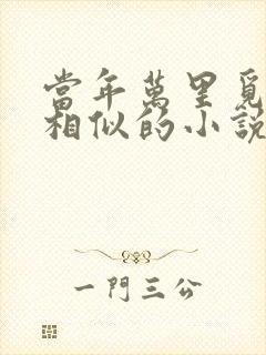 当年万里觅封侯相似的小说