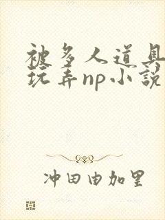 被多人道具调教玩弄np小说封面