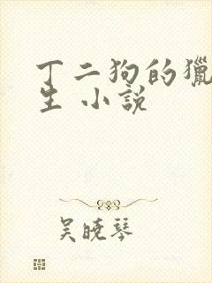 丁二狗的猎艳人生 小说封面