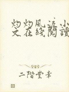 灼灼风流小说全文在线阅读封面