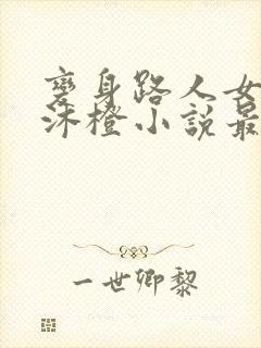 变身路人女婊苏沐橙小说最新章节更封面