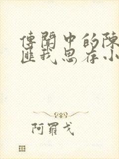 传闻中的陈芊芊匪我思存小说封面