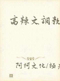 高辣文调教小说