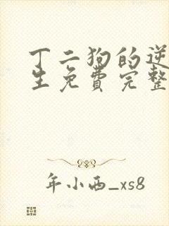 丁二狗的逆袭人生免费完整版