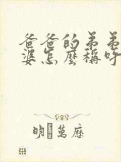 爸爸的弟弟的老婆怎么称呼