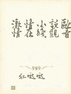 激情小说欧美激情在线观看