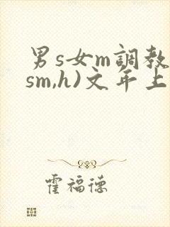男s女m调教(sm,h)文年上