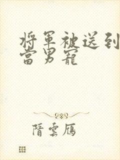 将军被送到敌国当男宠