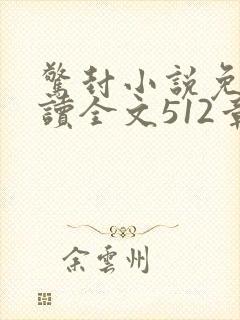 惊封小说免费阅读全文512章