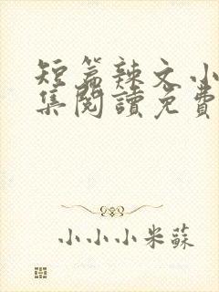 短篇辣文小说全集阅读免费封面