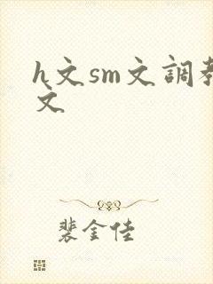 h文sm文调教文封面
