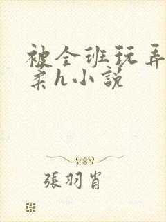 被全班玩弄的小柔h小说封面