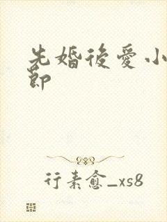 先婚后爱小说章节