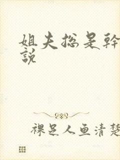 姐夫总是干我小说