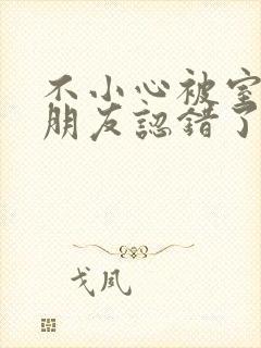 不小心被室友男朋友认错了宁笑阿温封面