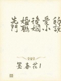 先婚后爱的双豪门联姻小说甜宠文封面