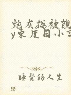 炮灰总被觊觎by东度日小说免费阅读