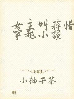 女主叫蒋惜纯的穿越小说