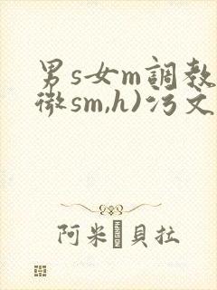 男s女m调教(微sm,h)污文