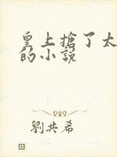 皇上抢了太子妃的小说