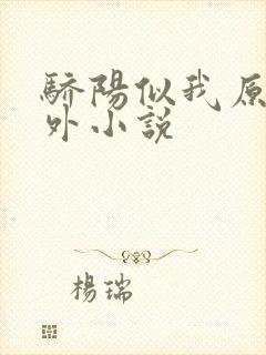 骄阳似我原著番外小说