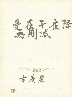 爱在午夜降临前 无删减封面