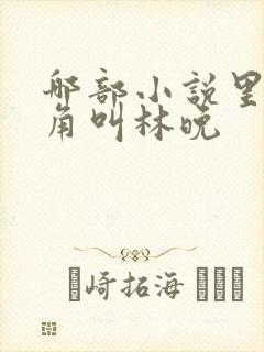 哪部小说里女主角叫林晚