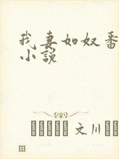 我妻如奴番外篇小说