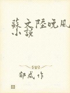 苏文陆晚风最新小说