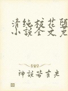 清纯校花堕落记小说全文免费阅读无弹窗封面