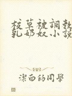 校草被调教成大乳奶奴小说