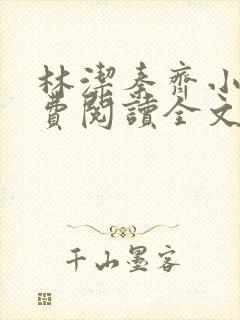 林洁秦齐小说免费阅读全文最新章节