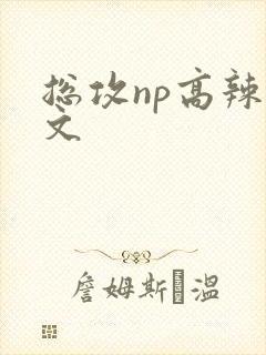 总攻np高辣h文