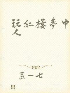 玩红楼梦中王夫人封面