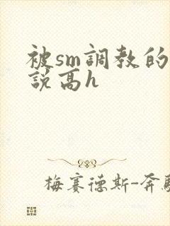 被sm调教的小说高h