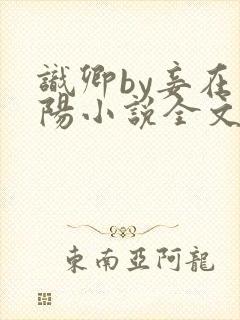 识卿by妾在山阳小说全文免费阅读