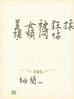 美女被狂揉大胸视频网站