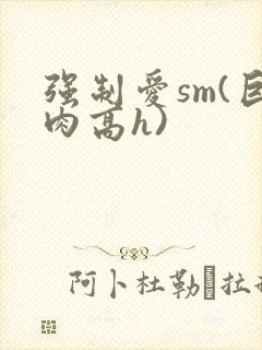 强制爱sm(巨肉高h)