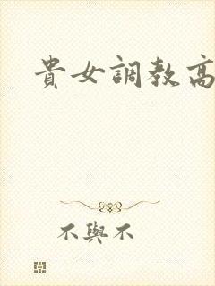 贵女调教高h