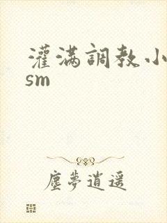 灌满调教小母狗sm封面