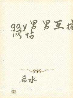 gay男男互操网站