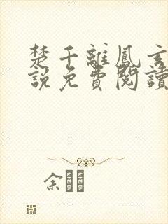 楚千离凤玄度小说免费阅读