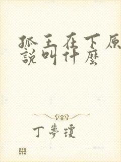 孤王在下原著小说叫什么