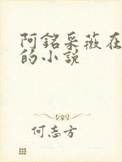 阿铭采薇在人间的小说