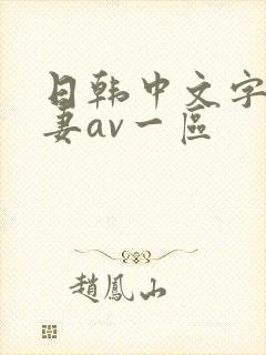 日韩中文字幕人妻av一区